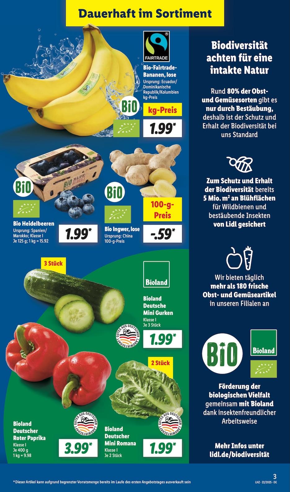 Lidl Aktueller Prospekt ab Montag Seite 3