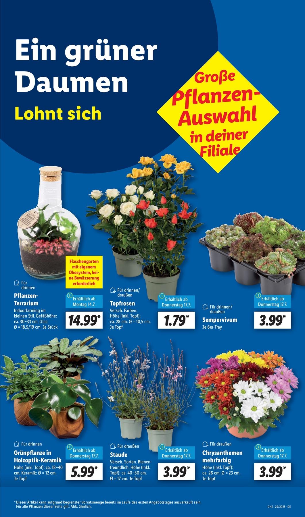Lidl Aktueller Prospekt ab Montag Seite 17
