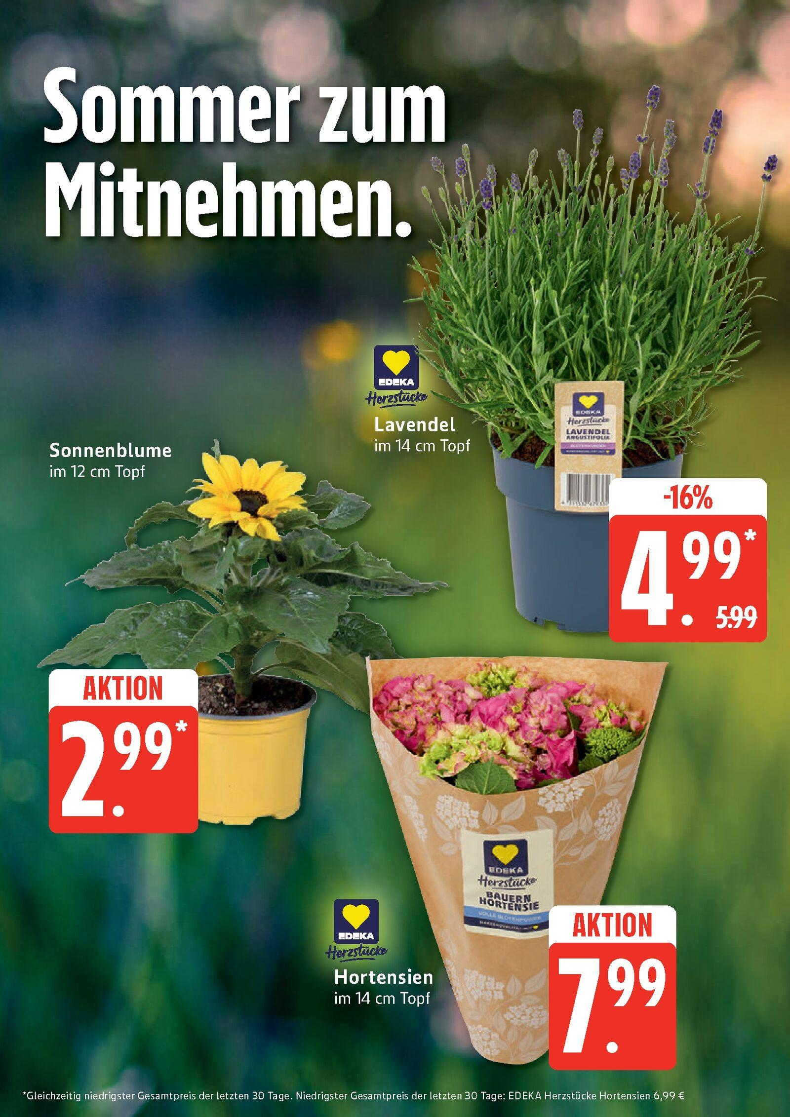 Edeka Prospekt ab Montag - Schleswig - Holstein Seite 9