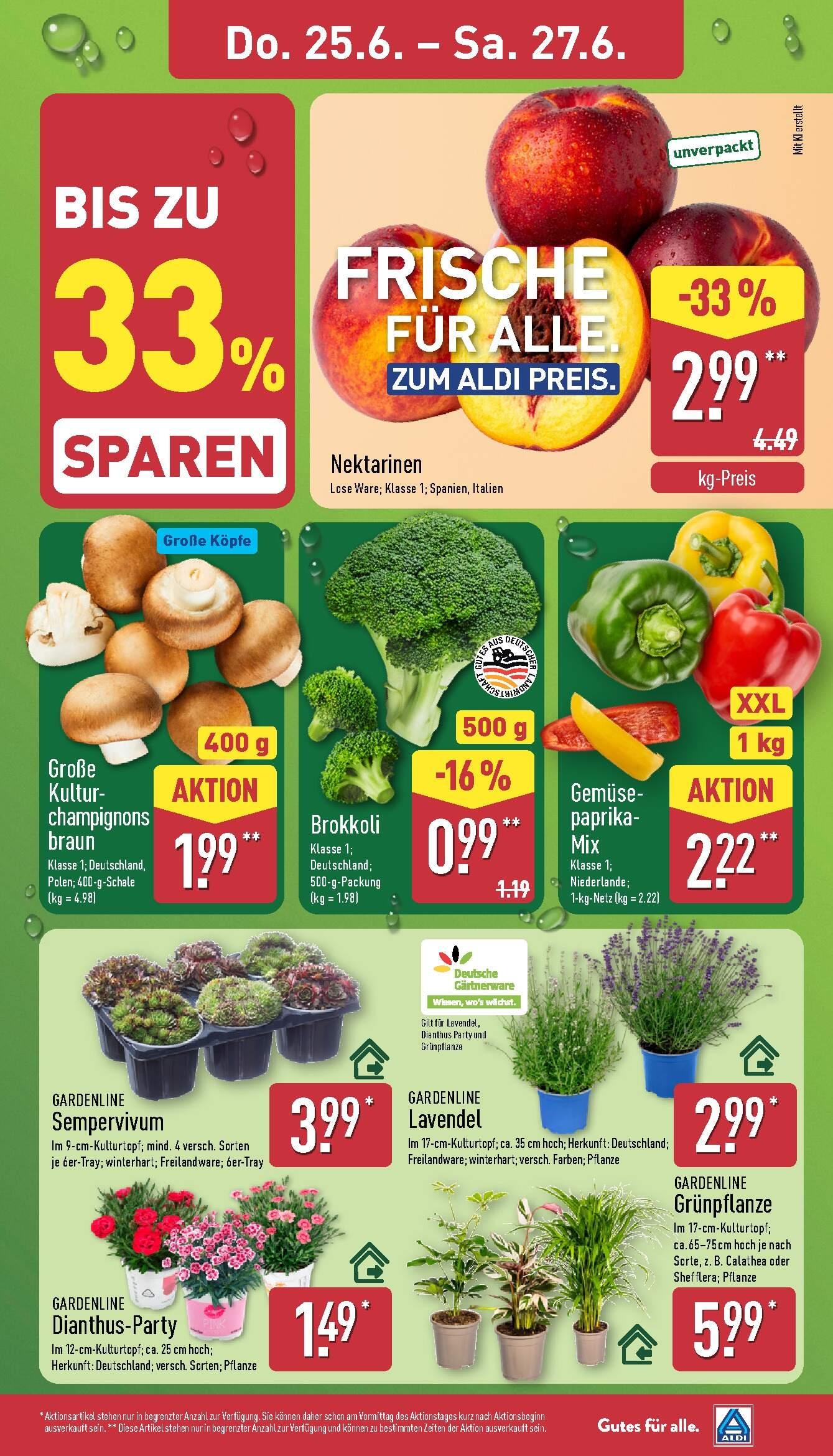 Aldi Aldi Nord Prospekt ab Montag Seite 29
