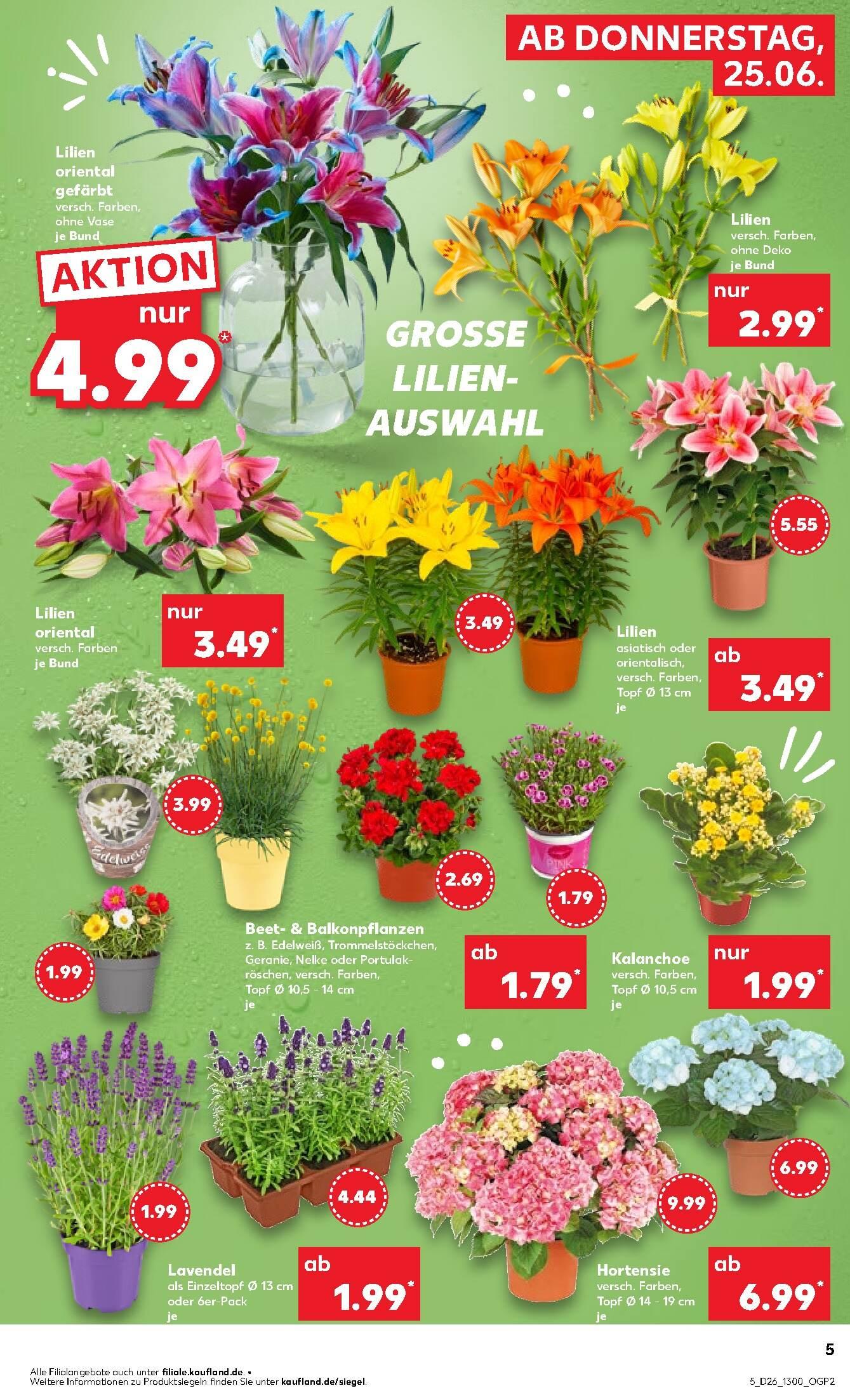 Kaufland Aktueller Prospekt ab Donnerstag Seite 5