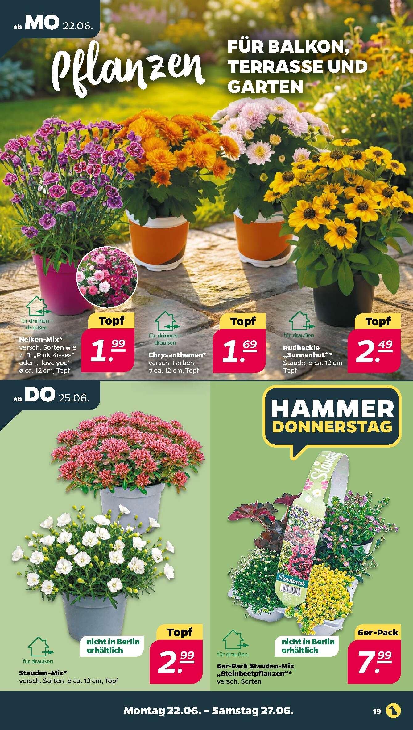 Netto Aktueller Prospekt ab Montag Seite 21